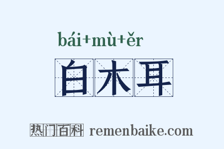 白木耳是什么意思的图片